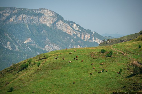 Mountainous Chechnya sights, Russia, photo 25