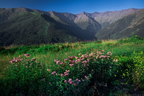 Mountainous Chechnya sights, Russia, photo 5