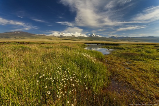 Ukok Plateau, Altai, Russia, photo 11