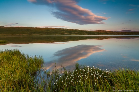 Ukok Plateau, Altai, Russia, photo 3