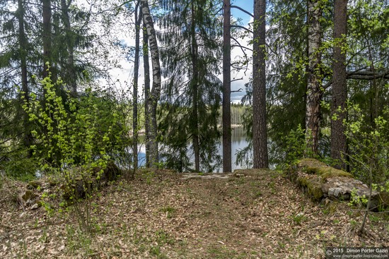 Abandoned manor of the architect Khrenov in Zaklyuchye, Tver region, Russia, photo 19