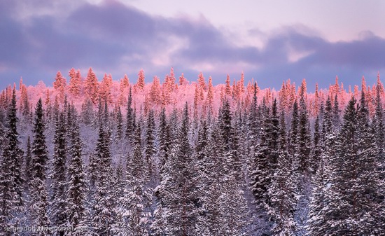 Stunningly beautiful scenery of the Kola Peninsula, Russia, photo 3