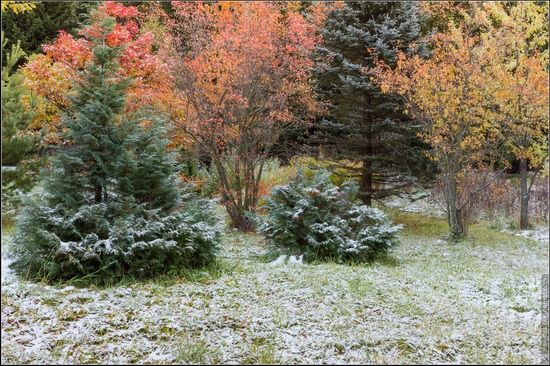 The first snow in the village of Blagoveshchenye, Moscow region, Russia, photo 2