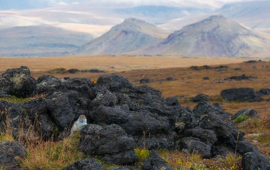 Kamchatka volcanoes, Russia, photo 20