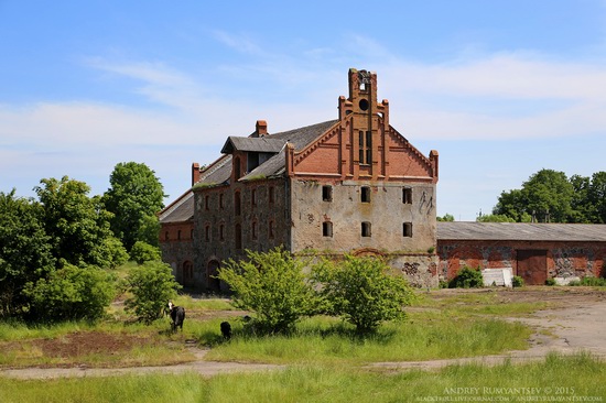 The sights of the Kaliningrad region, Russia, photo 9