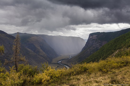 Chulyshman River Valley, Altai Republic, Russia, photo 1