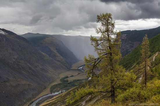 Chulyshman River Valley, Altai Republic, Russia, photo 2