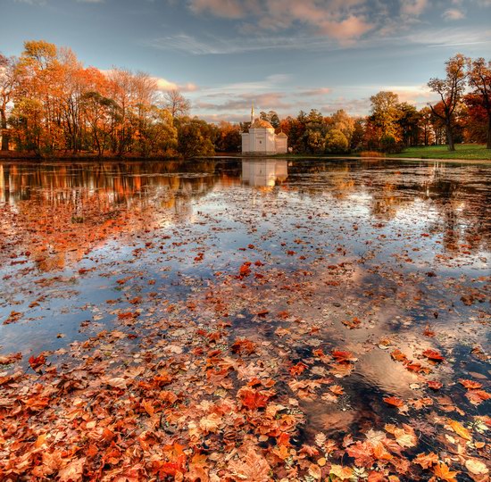 Golden Autumn in Tsarskoye Selo, St. Petersburg, Russia, photo 5