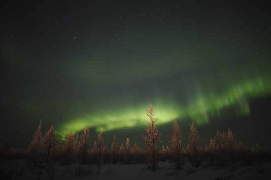 Polar Lights, Novy Urengoy, Russia, photo 10