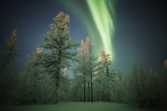 Polar Lights, Novy Urengoy, Russia, photo 11