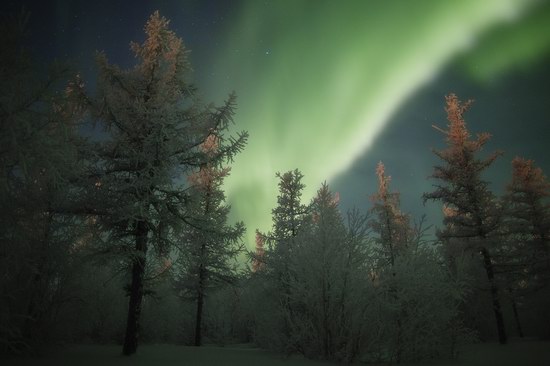 Polar Lights, Novy Urengoy, Russia, photo 12