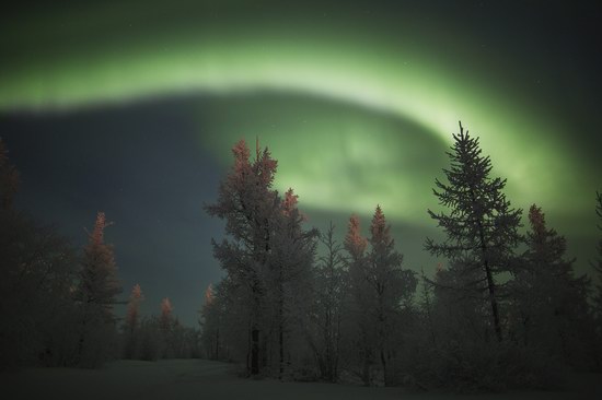 Polar Lights, Novy Urengoy, Russia, photo 13