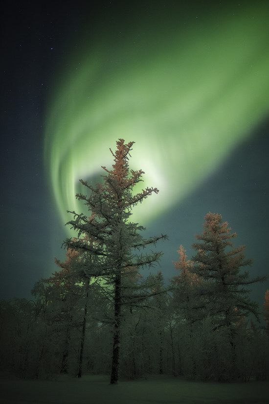 Polar Lights, Novy Urengoy, Russia, photo 14