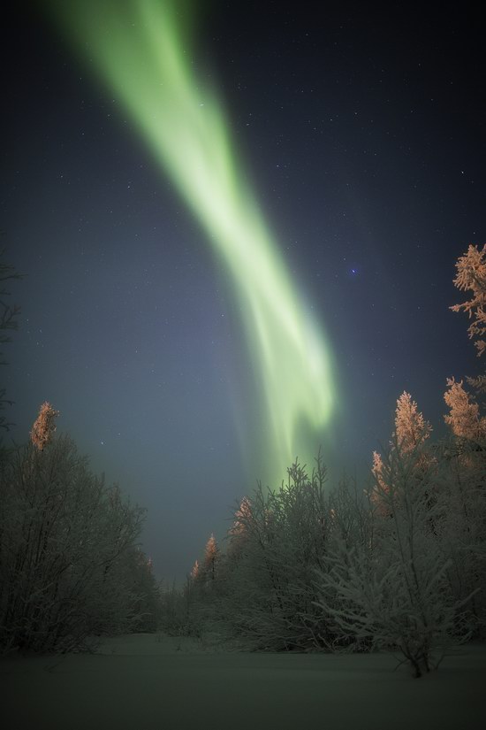 Polar Lights, Novy Urengoy, Russia, photo 15