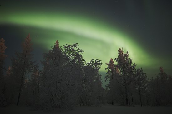 Polar Lights, Novy Urengoy, Russia, photo 16