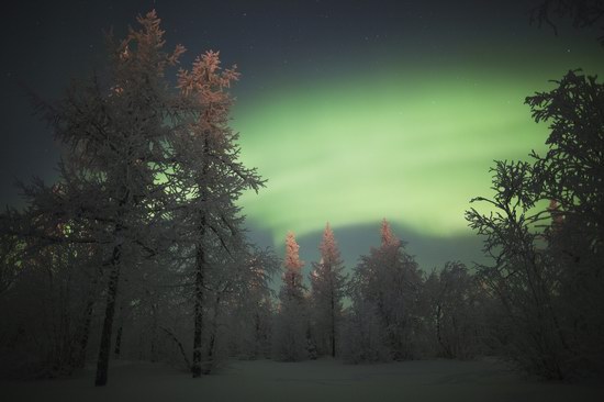 Polar Lights, Novy Urengoy, Russia, photo 17