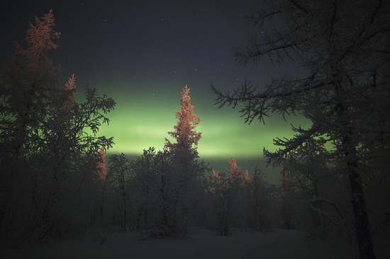 Polar Lights, Novy Urengoy, Russia, photo 19