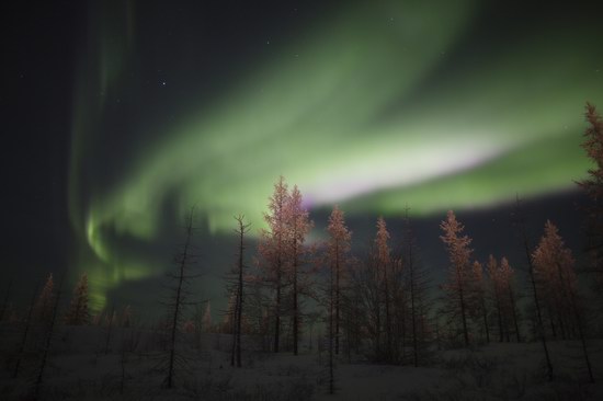 Polar Lights, Novy Urengoy, Russia, photo 2