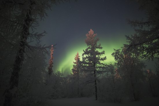 Polar Lights, Novy Urengoy, Russia, photo 20