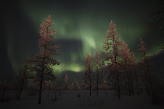 Polar Lights, Novy Urengoy, Russia, photo 3