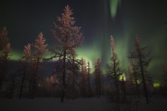 Polar Lights, Novy Urengoy, Russia, photo 4