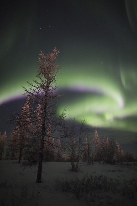 Polar Lights, Novy Urengoy, Russia, photo 6