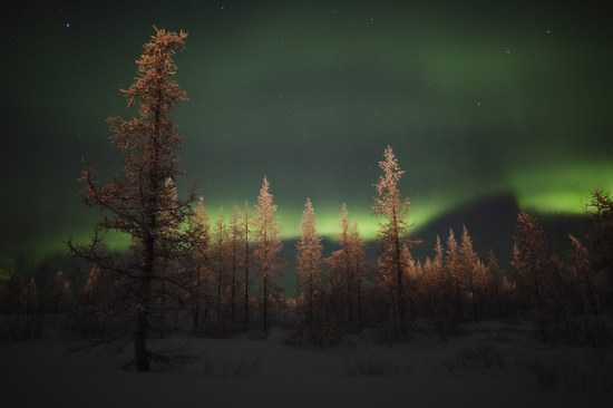 Polar Lights, Novy Urengoy, Russia, photo 7