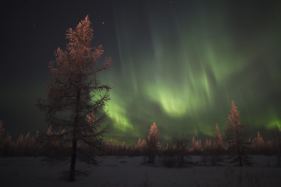 Polar Lights, Novy Urengoy, Russia, photo 8