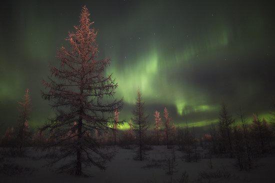 Polar Lights, Novy Urengoy, Russia, photo 9