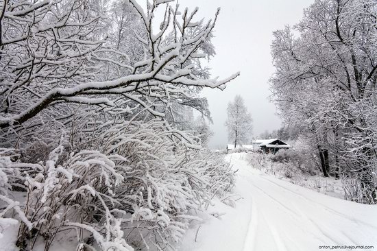 Snowy winter on Lake Teletskoye, Russia, photo 3