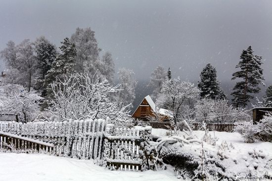 Snowy winter on Lake Teletskoye, Russia, photo 5