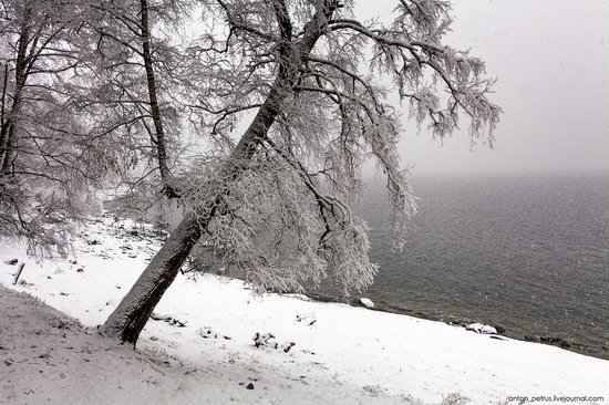 Snowy winter on Lake Teletskoye, Russia, photo 7