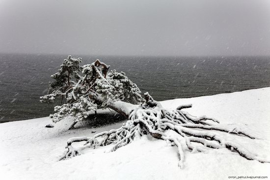 Snowy winter on Lake Teletskoye, Russia, photo 8