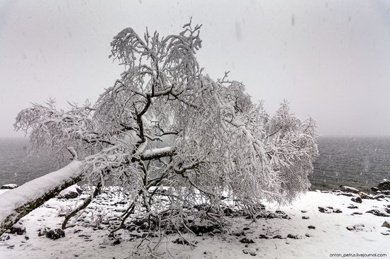 Snowy winter on Lake Teletskoye, Russia, photo 9