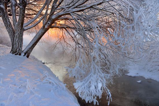 Frosty January on Murinskiy Stream, St. Petersburg, Russia, photo 6