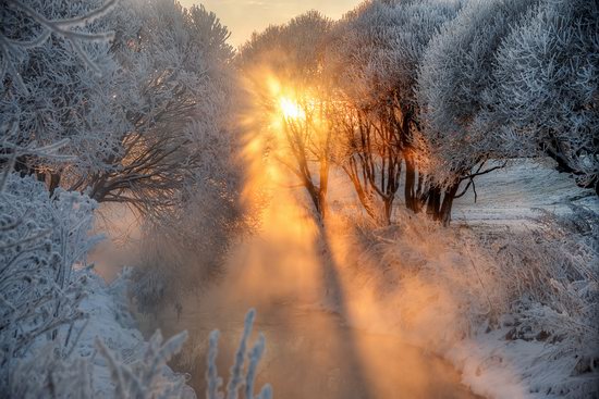 Frosty January on Murinskiy Stream, St. Petersburg, Russia, photo 8