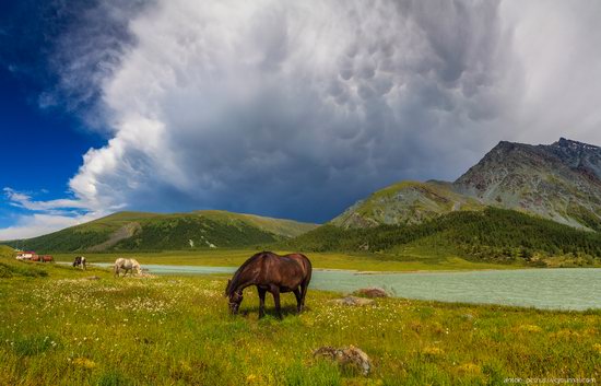 Lake Akkem, Altai Republic, Russia, photo 10