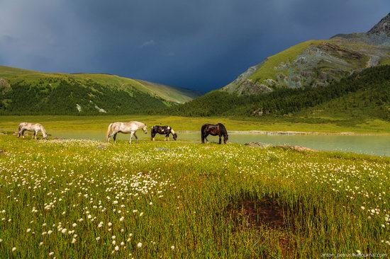 Lake Akkem, Altai Republic, Russia, photo 3