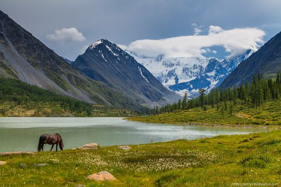 Lake Akkem, Altai Republic, Russia, photo 5