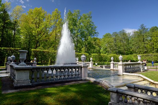 Spring in Peterhof museum, St. Petersburg, Russia, photo 11