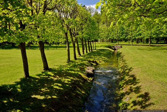 Spring in Peterhof museum, St. Petersburg, Russia, photo 12