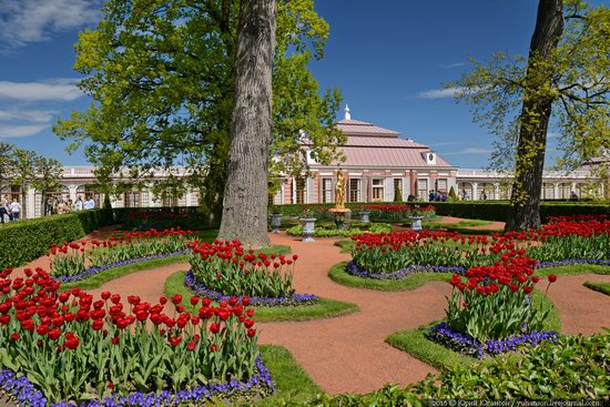 Spring in Peterhof museum, St. Petersburg, Russia, photo 14