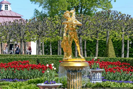 Spring in Peterhof museum, St. Petersburg, Russia, photo 15