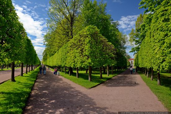 Spring in Peterhof museum, St. Petersburg, Russia, photo 16