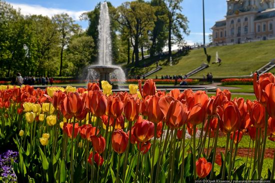 Spring in Peterhof museum, St. Petersburg, Russia, photo 2