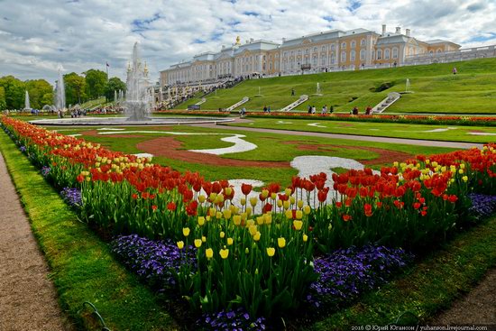 Spring in Peterhof museum, St. Petersburg, Russia, photo 22