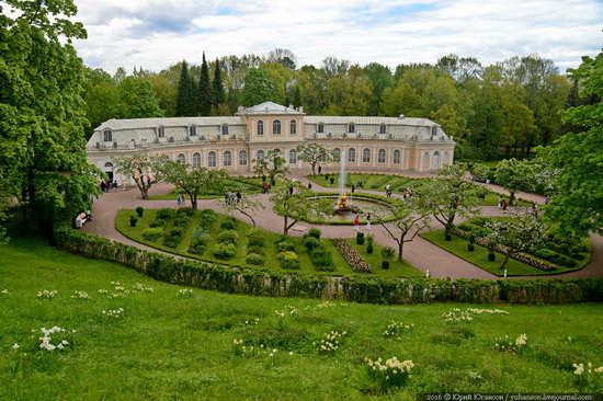 Spring in Peterhof museum, St. Petersburg, Russia, photo 23