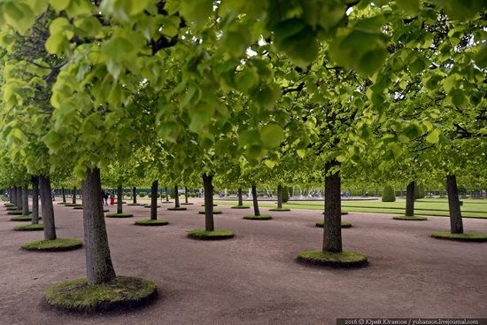 Spring in Peterhof museum, St. Petersburg, Russia, photo 24