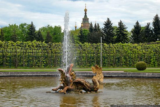 Spring in Peterhof museum, St. Petersburg, Russia, photo 27