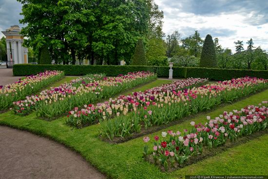 Spring in Peterhof museum, St. Petersburg, Russia, photo 28